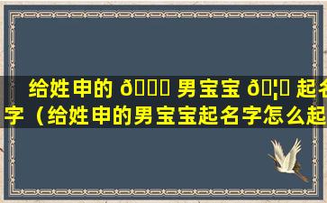 给姓申的 🐞 男宝宝 🦊 起名字（给姓申的男宝宝起名字怎么起）